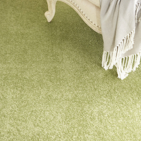 HomeRoots 8' X 10' Green Indoor Outdoor Area Rug - Durable, Pet-Friendly, Versatile Design for All Spaces 479497