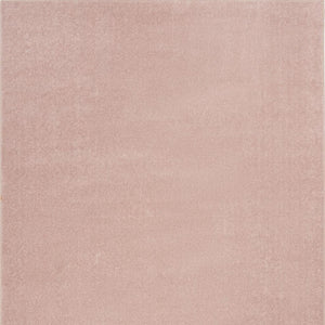 HomeRoots 6' X 9' Pink Area Rug - Versatile Indoor/Outdoor Low-Pile Design for Stylish Spaces & Easy Care 479557