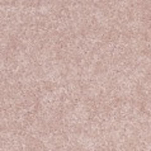 Homeroots 6' X 9' Pink Indoor Outdoor Area Rug  Polypropylene 479557