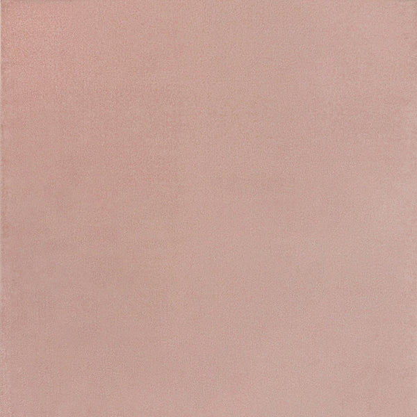 Homeroots 7' X 10' Pink Non Skid Indoor Outdoor Area Rug  Polypropylene 479560