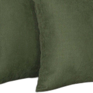 Homeroots Set Of Two 20" X 20" Fern Green Polyester Zippered Pillows For Cozy Decor & Stylish Comfort   480796