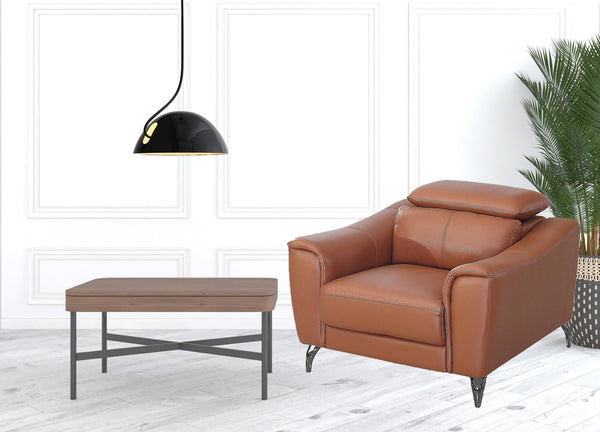 Homeroots 42" Brown Genuine Leather And Silver Solid Color Lounge Chair   482831