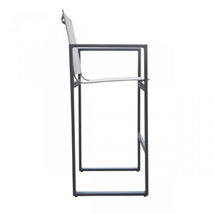 Homeroots 23" Gray And Black Metal Director Chair  Aluminum,Fabric 482870