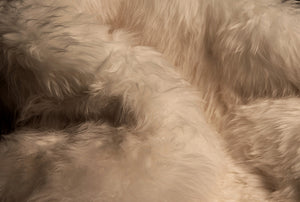 Homeroots 2' X 6' Platinum New Zealand Lambs Wool Handmade Area Rug  New Zealand Lambs Wool 482896