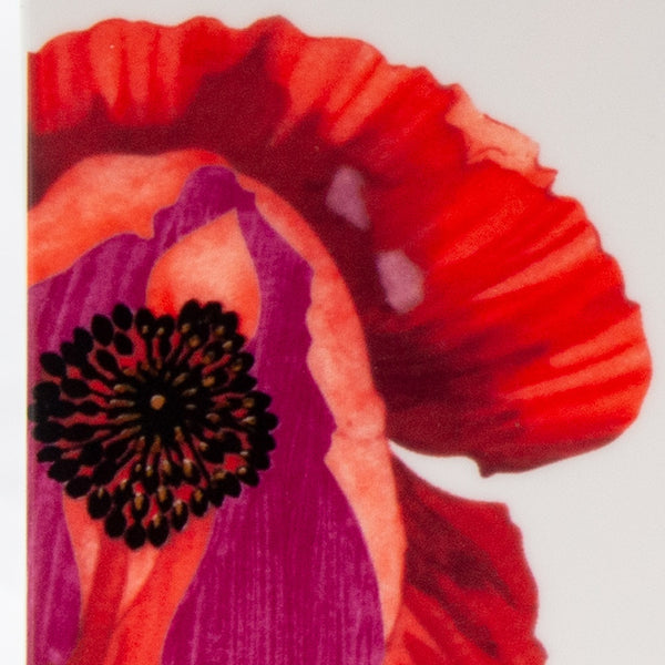 Homeroots Red And White Six Piece Square Floral Bone China Service For Six Dinner Plate Set   483515