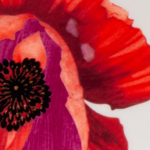 Homeroots Red And White Six Piece Square Floral Bone China Service For Six Dinner Plate Set   483515