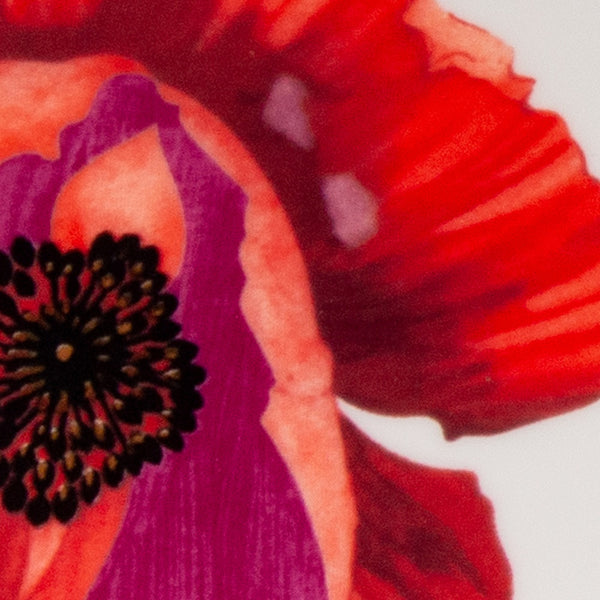 Homeroots Red And White Six Piece Square Floral Bone China Service For Six Dinner Plate Set   483515