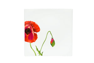 Homeroots Red And White Six Piece Square Floral Bone China Service For Six Salad Plate Set   483516