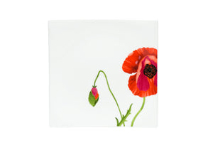 Homeroots Red And White Six Piece Square Floral Bone China Service For Six Salad Plate Set   483516