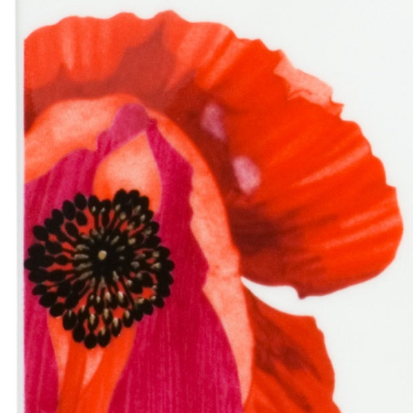 Homeroots Red And White Six Piece Square Floral Bone China Service For Six Salad Plate Set   483516