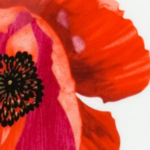 Homeroots Red And White Six Piece Square Floral Bone China Service For Six Salad Plate Set   483516