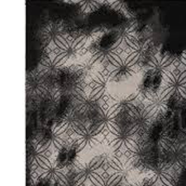 Homeroots 4' X 6' Black Abstract Power Loom Stain Resistant Area Rug  Polyester 487554