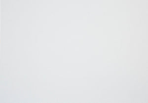 HomeRoots 42" White and Black Computer Desk with Two Drawers – Modern, Space-Efficient Workstation for Home Office 489881