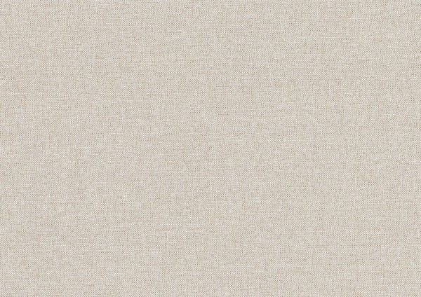 English Elm 1pc Trudy Daybed with Trundle Upholstered Fabric Modern Wooden Frame Versatile Guest Sofa Bed Beige 82.5 L x 33 W x 6.5 H B011P256686