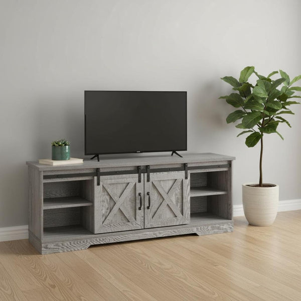 HomeRoots 59" Gray Cabinet Enclosed Storage TV Stand - Stylish Media Center with Adjustable Shelving & Barn Doors 490376