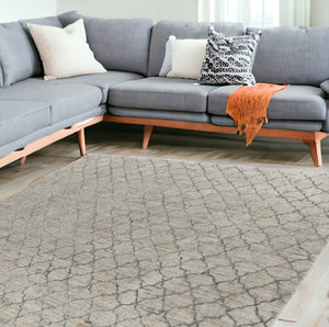 Homeroots 9' X 12' Beige Moroccan Stain Resistant Area Rug  Other Material 490427