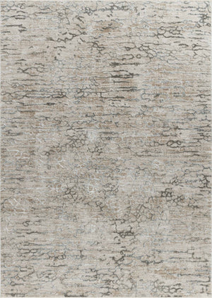 Homeroots 5' X 8' Beige Abstract Stain Resistant Area Rug  Other Material 490434