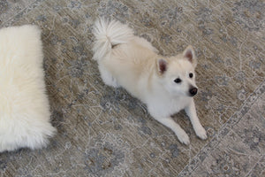 Homeroots 8' X 10' Gold Southwestern Power Loom Stain Resistant Area Rug  Other Material 490450