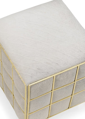 Wildwood Square Hide Stool With Light Gray Hair-On-Hide, Polished Brass Accent & Removable Storage Ottoman 490471