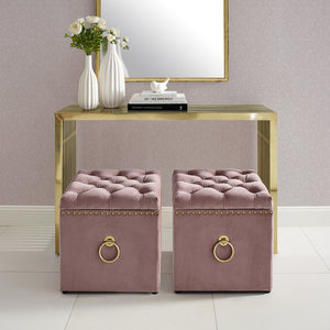 Homeroots 18" Blush Velvet And Black Tufted Storage Blush,Gold,Velvet  490683