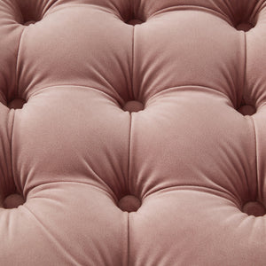 Homeroots 18" Blush Velvet And Black Tufted Storage Blush,Gold,Velvet  490683