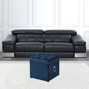 Homeroots 18" Navy Blue Velvet And Black Tufted Storage Navy,Velvet  490688