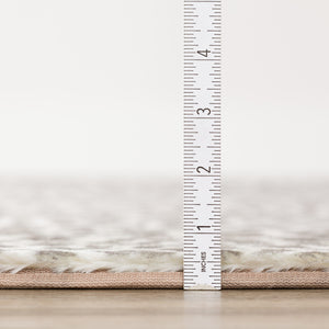 Homeroots 3' X 5' Beige And Cream Leopard  Print Shag Handmade Non Skid Area Rug  Polyester 491675