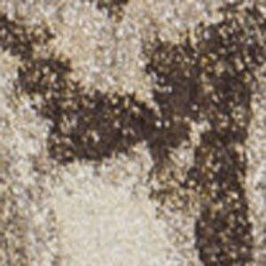 Homeroots 5' X 8' Brown Oriental Area Rug  Polypropylene 491904