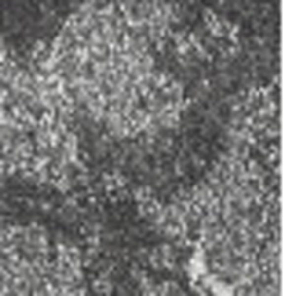 Homeroots 5' X 8' Gray And Ivory Oriental Distressed Area Rug  Polypropylene 491936