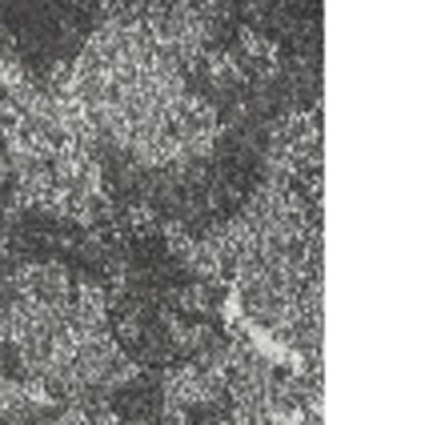 Homeroots 5' X 8' Gray And Ivory Oriental Distressed Area Rug  Polypropylene 491936