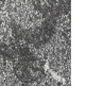 Homeroots 10' X 13' Gray And Ivory Oriental Distressed Area Rug  Polypropylene 491938