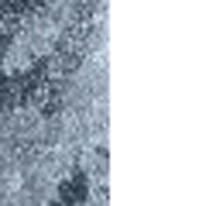 Homeroots 8' X 11' Blue Oriental Distressed Area Rug  Polypropylene 491949