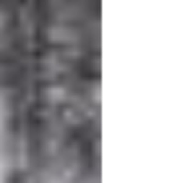 Homeroots 8' X 10' Black And Charcoal Medallion Hand Loomed Area Rug  Viscose 493279