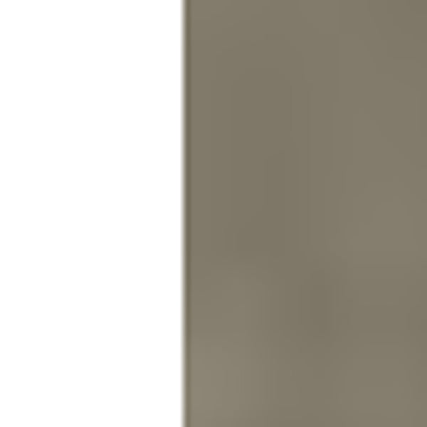 Homeroots 8' X 10' Expresso And Brown Hand Loomed Area Rug  Viscose 493291