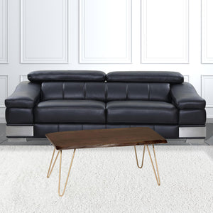 Homeroots 42" Brown And Gold Solid Wood And Iron Coffee Table   493315