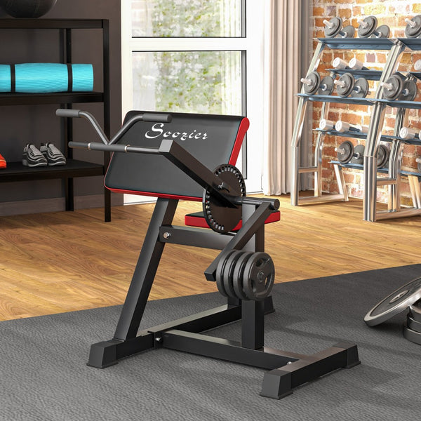 English Elm Soozier Plate Loaded Preacher Curl Bench with Adjustable Seat for Home Gym Training W2225P229140