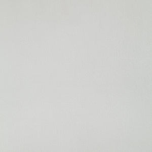 English Elm Zemirah White Velvet Side Chairs Set of 2 — 4" Cushions, Hollow Back, Gloss Finish, Durable Frame B2726P262963