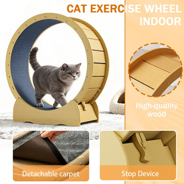 English Elm Cat 42" Exercise Wheel for Indoor Cats - Solid Acacia Wood, Quiet TPE Rollers, Anti-Pinch Design & Lockable Safety W2500P293097