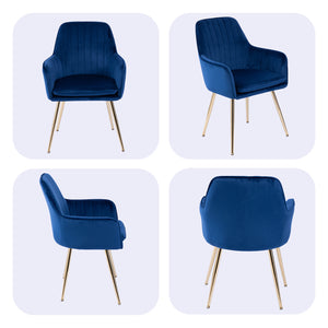 English Elm Velvet Mid-Back Dining Chairs Set of 2 with Gold Plated Legs, Plush Upholstery, Removable Cushions, Ergonomic Support Blue W3394P329172