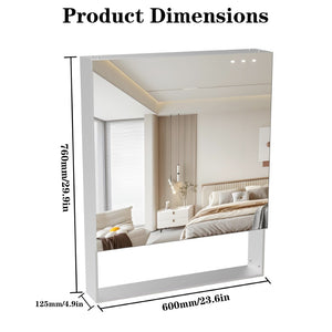 English Elm 24'' Aluminum Medicine Cabinet Wall Mount Bathroom Mirror with Adjustable Interior Shelves W708P379205