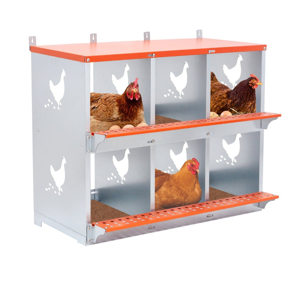 English Elm 6-bay Galvanized Steel Wall Mount Chicken Nest Box with Vented Hen Cutout Panels W1422P355410