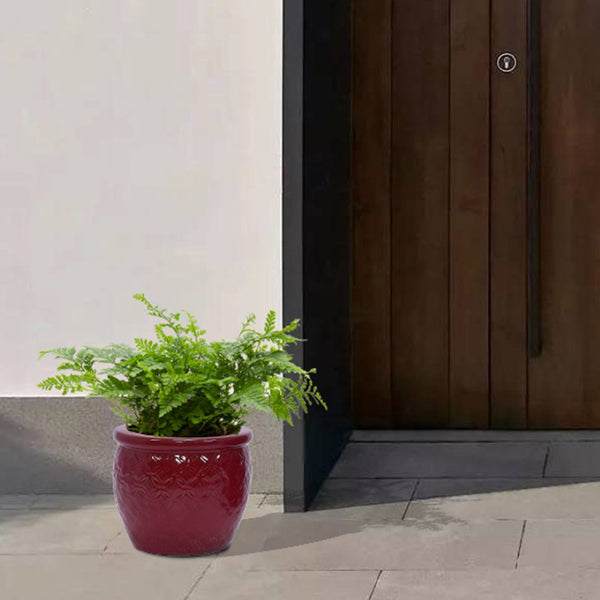 English Elm Set Of 3 Ceramic Flowerpots - Artisan Modern Planters For Garden, Patio & Windowsill Decor! W3273P321489-GIGA