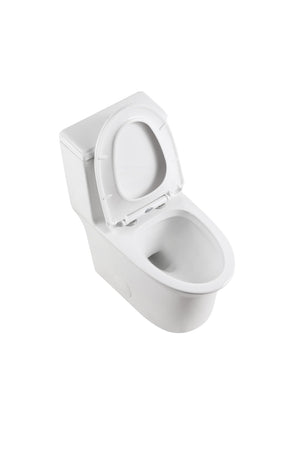 English Elm 1.1/1.6 Gpf Ceramic One Piece Toilet Skirted Comfort Height Dual Flush Soft Close B2724P246931