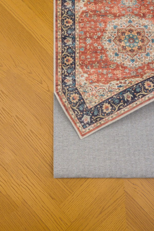 English Elm Premier Traditional Low Pile Area Rug for Living Room Dining High Traffic Zones B186P479381