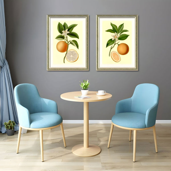 English Elm Set Of 2 Orange Fruit Botanical Prints In Solid Wood Frames - Stunning Kitchen Wall Art Decor 18X24 T3976P383225-GIGA