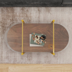 English Elm Oval glass coffee table with tempered top & MDF shelf, tapered legs, rounded edges, modern wood-tone décor storage W1727P356428