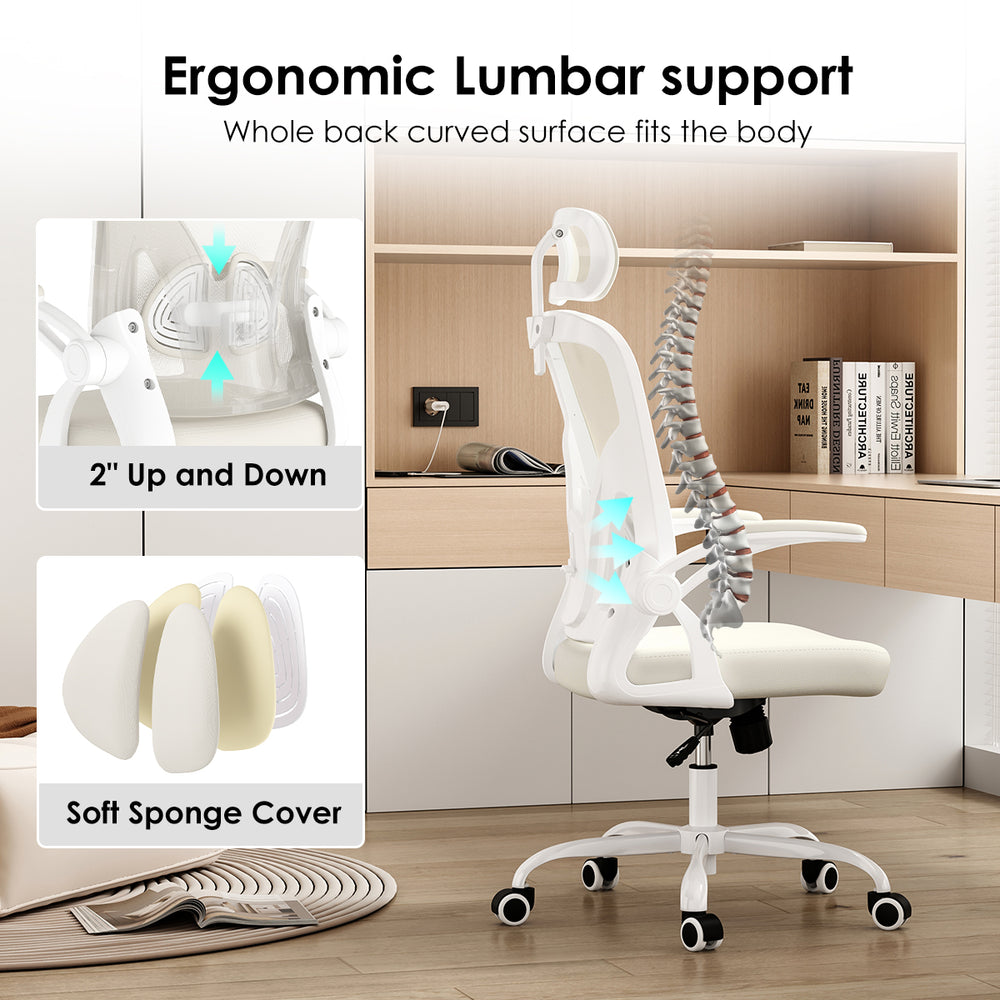 English Elm Ergonomic Office Chair With Adjustable Headrest & Lumbar Support, Breathable Mesh For Comfort & Style T3623P380939