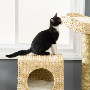 English Elm Cat Tower with Cattail Woven Posts Condo Basket Bed Scratching Ladder Indoor T3971P432005
