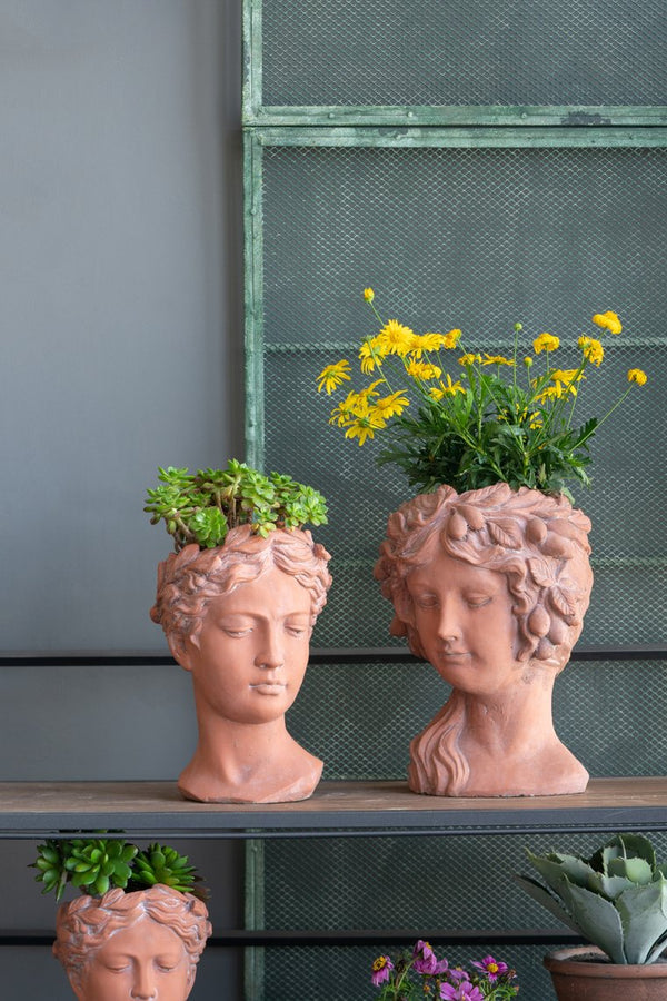 English Elm 8x9x11.5" Classical Head Bust Planter, Brown Cement Greek-Style Indoor Outdoor Vase for Flowers and Succulents W2078P201067