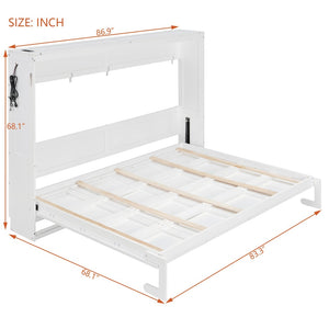 English Elm Queen-size Murphy Wall Bed with Led Ambient Lighting Usb Outlet and Graphic Panel White LP000357AAK